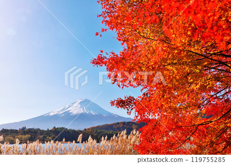 秋葉、蒲葦和富士山 119755285