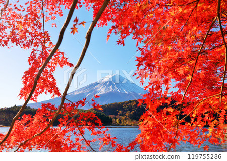 秋葉和富士山 119755286