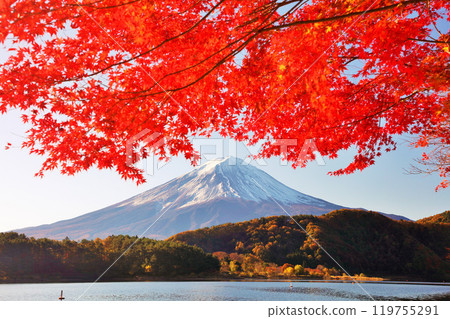 Autumn leaves and Mt. Fuji 119755291