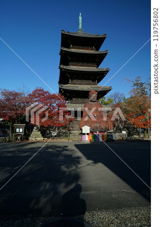 Blue sky and beautiful autumn leaves_Yagotoyama Koshoji Temple 119756802
