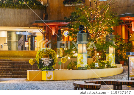 川崎 La Cittadella (Cinecittà) 的含羞草節 - 雪夜城市景觀 [神奈川縣川崎市] 119757147