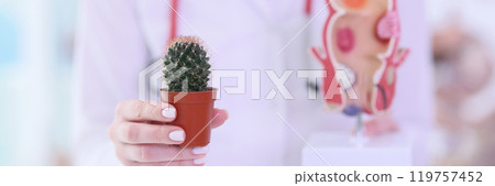 Gynecologist shows cactus and female reproductive organs 119757452