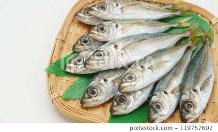 Raw horse mackerel Raw horse mackerel 119757602