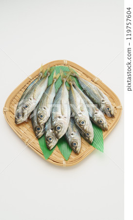 生竹莢魚 生竹莢魚 119757604