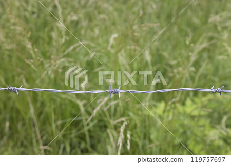 Barbed wire image Barbed wire image 119757697