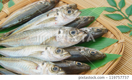 Raw horse mackerel 119757737