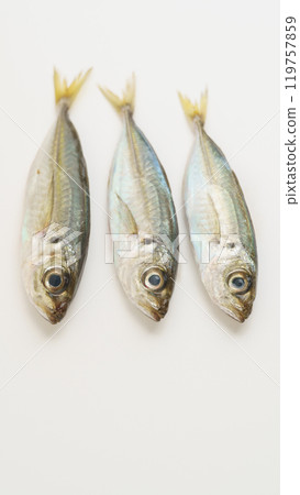 Raw horse mackerel Raw horse mackerel 119757859