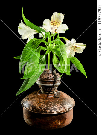 Vintage Oil Lamp with Alstroemeria Bloom on a dark background Vintage Oil Lamp with Alstroemeria Bloom on a dark background 119757935