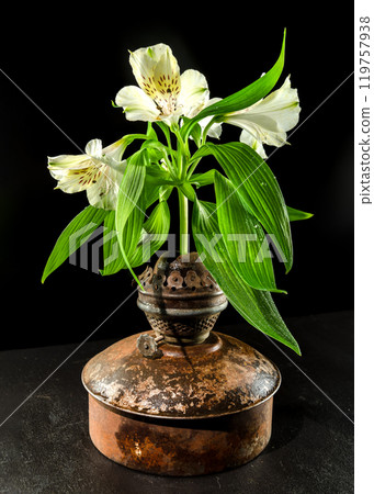 Vintage Oil Lamp with Alstroemeria Bloom on a dark background Vintage Oil Lamp with Alstroemeria Bloom on a dark background 119757938