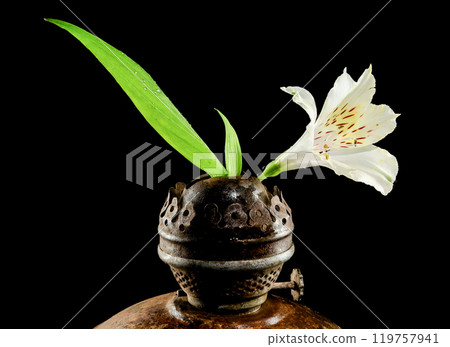 Vintage Oil Lamp with Alstroemeria Bloom on a dark background Vintage Oil Lamp with Alstroemeria Bloom on a dark background 119757941
