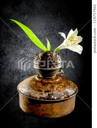 Vintage Oil Lamp with Alstroemeria Bloom on a dark background Vintage Oil Lamp with Alstroemeria Bloom on a dark background 119757942