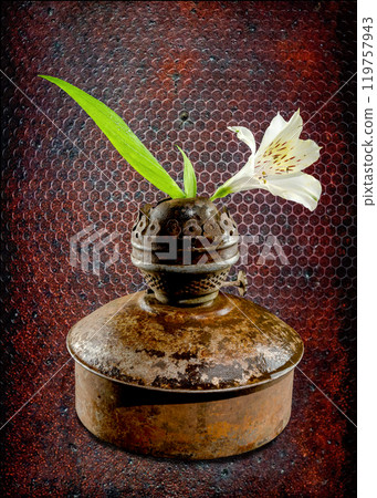 Vintage Oil Lamp with Alstroemeria Bloom on a dark background Vintage Oil Lamp with Alstroemeria Bloom on a dark background 119757943