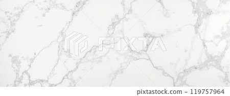 White marble texture with natural gray veins, elegant stone pattern, high-resolution background, interior decoration, countertops, flooring, and wall cladding White marble texture with natural gray veins, elegant stone pattern, high-resolution background, interior decoration, countertops, flooring, and wall cladding 119757964