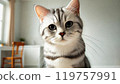 I see. 119757991