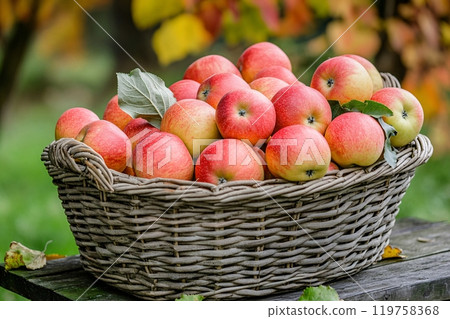 Freshly picked apples are displayed in a wicker basket, with natural light highlighting their rustic 119758368