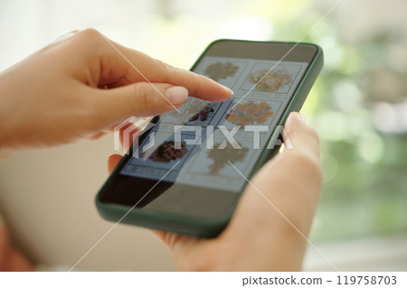 Choosing Flower Bouquet on Smartphone Device Choosing Flower Bouquet on Smartphone Device 119758703