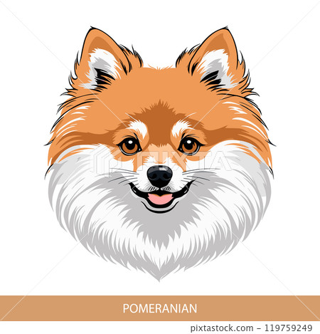 Stylized pomeranian Dog Head Illustration in Vector Art Stylized pomeranian Dog Head Illustration in Vector Art 119759249