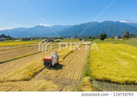 秋收【安曇野市穗高】 119759765