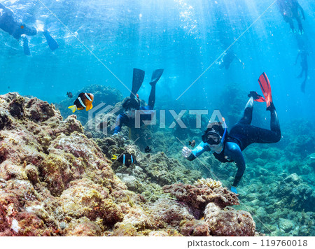 A cute pair of clownfish, a school of three-spotted damselfish and others. Skin divers are also swimming. Nakagi Hirizo Beach 2024 119760018