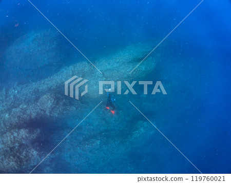 一對可愛的小丑魚、一群黑雀鯛等。輕裝潛水員也在那裡游泳。中木廣三浜 2024 119760021