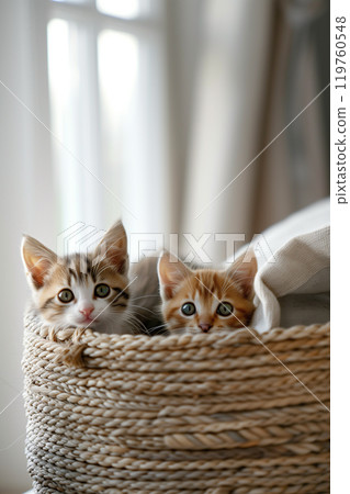 Curious kittens peeking from woven basket indoors with bright and light image 119760548
