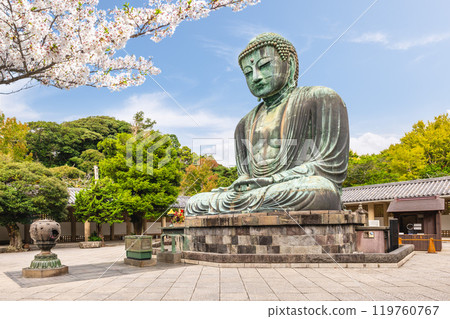 The Great Buddha at Kotokuin at Kamakura in Kanagawa Prefecture, Japan 119760767