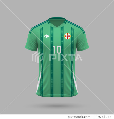 3d realistic soccer jersey Northern Ireland national team 2024 119761242