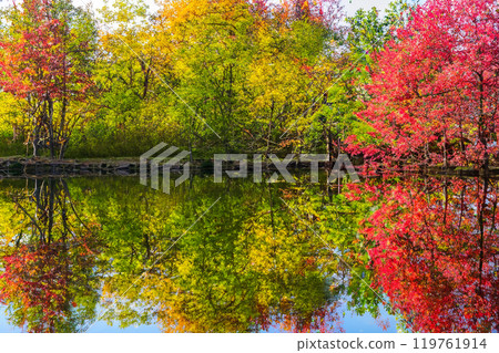 A tranquil lake reflecting the vibrant colors of the surrounding autumn foliage, creating a picturesque scene 119761914