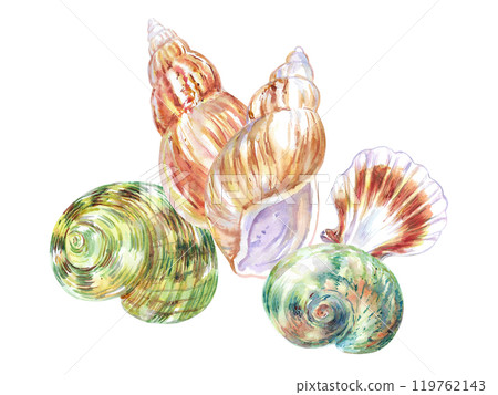 Seashell composition of Rosy Wolf snail, Calico Scallop, Turbo Moon sea shell in watercolor. Marine gastropod mollusks, sea snails with yellow, red, brown spots, stripes. Scallop bivalve marine Seashell composition of Rosy Wolf snail, Calico Scallop, Turbo Moon sea shell in watercolor. Marine gastropod mollusks, sea snails with yellow, red, brown spots, stripes. Scallop bivalve marine 119762143