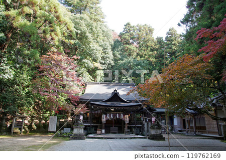 奈良/洞爺神社 119762169