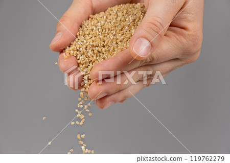 Hands pour raw uncooked wheat groats Hands pour raw uncooked wheat groats 119762279