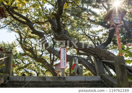 高山稻荷神社、老松樹和稻荷雕像，青森縣 119762289