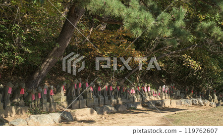 Takayama Inari Shrine: A row of Inari stone statues, Aomori Prefecture 119762607
