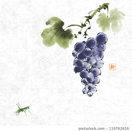 Ink painting of grapes in blue tones hanging from a vine with leaves and small grasshopper on rice paper background. Traditional oriental ink painting sumi-e, u-sin, go-hua. Hieroglyph - fresh Ink painting of grapes in blue tones hanging from a vine with leaves and small grasshopper on rice paper background. Traditional oriental ink painting sumi-e, u-sin, go-hua. Hieroglyph - fresh 119762658