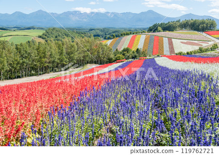 [美瑛町四季彩之丘的秋景與十勝岳] 119762721