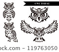 Tribal Owl Set 119763050