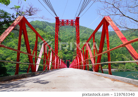 愛媛縣四國中央市水稻橋 愛媛縣四國中央市水稻橋 119763340