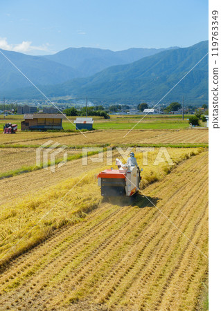 收成的秋天[安曇野市穗高] 119763349