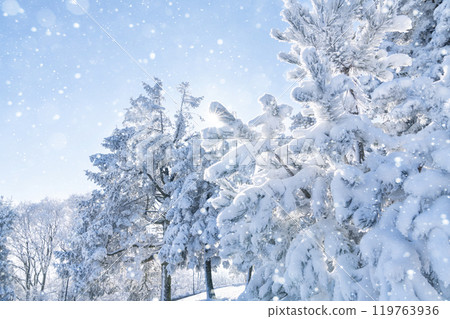 Snow covered trees. Winter forest Snow covered trees. Winter forest 119763936
