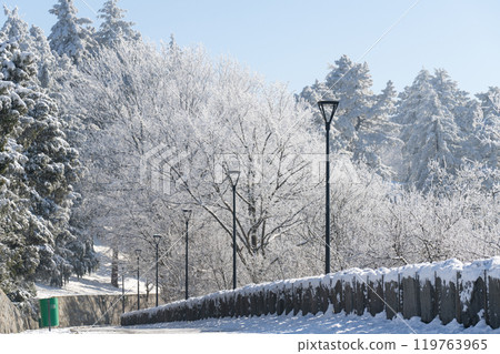 Park in the top of the mountain in winter 119763965