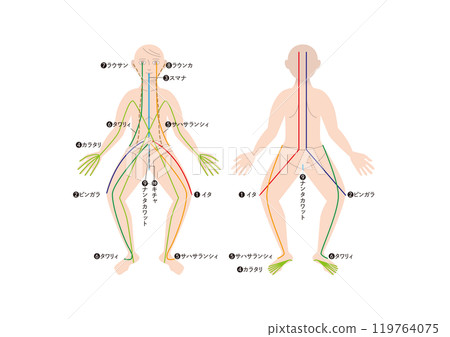 泰國傳統醫學阿育吠陀「森」能量流 119764075