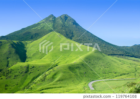 Yufu-dake的新鮮綠色 119764108