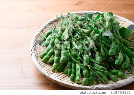 分枝毛豆 119764131