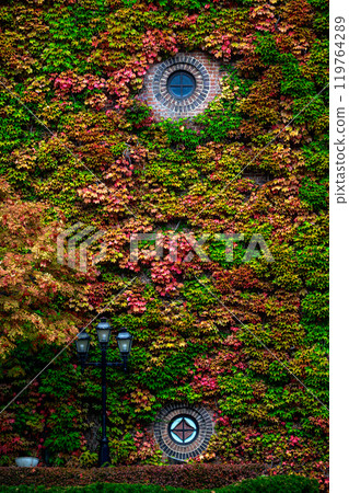 札幌工廠的秋天_5008 119764289