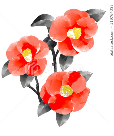 Tsubaki watercolor illustration 119764355