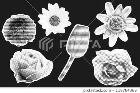 Collage flowers halftone effect, photocopy grunge magazine cut outs at black background. Dotted and line texture, tulip and rose, passiflora blossom 119764369
