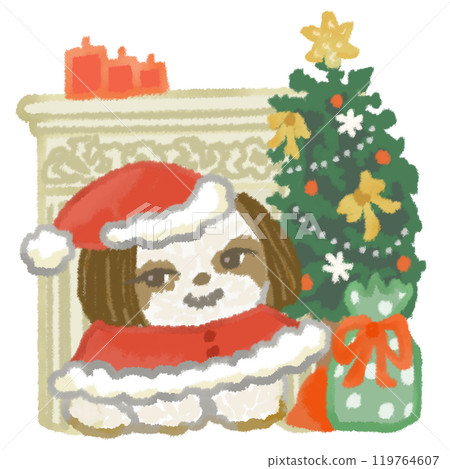 A cute Shih Tzu dressed as Santa and Christmas decorations A cute Shih Tzu dressed as Santa and Christmas decorations 119764607