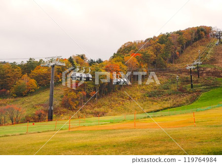 Kusatsu Onsen Ski Resort 119764984