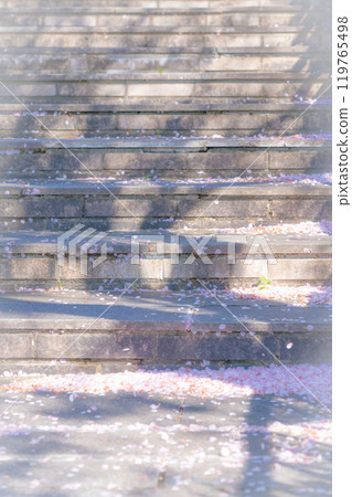 飄落的櫻花花瓣/春天的圖像 119765498