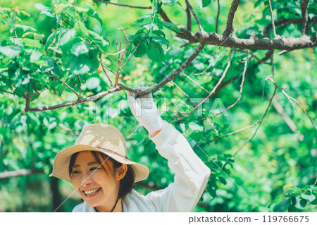 Farmer touching tree branches Farmer touching tree branches 119766675